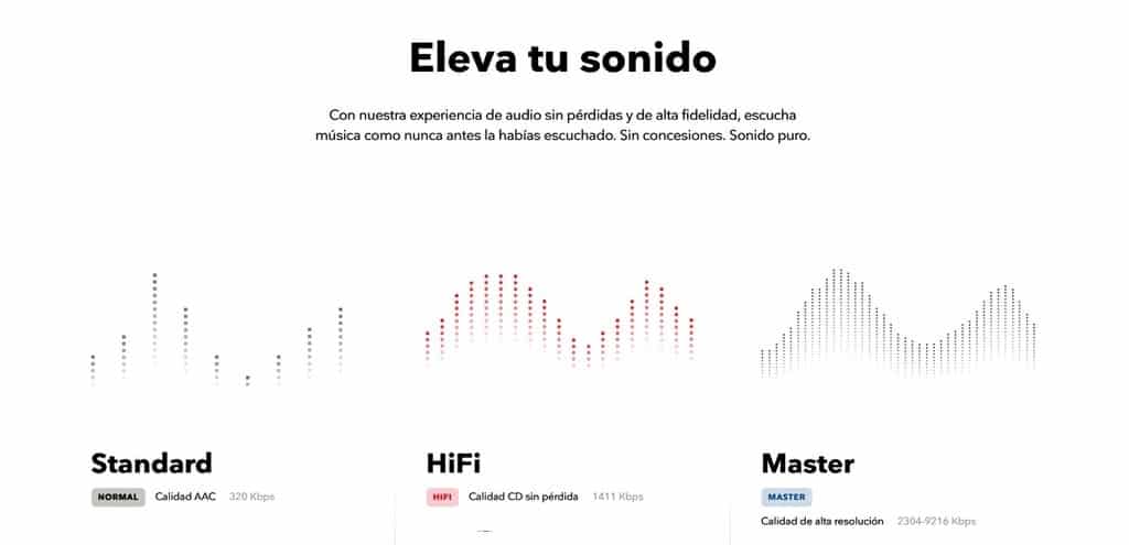 https://4713232c.delivery.rocketcdn.me/wp-content/uploads/2021/08/Sin-titulo-12.jpg